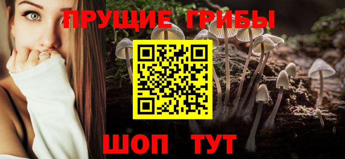Галлюциногенные грибы Magic Shrooms  Псилоцибиновые грибы Magic Shrooms  Вход с VPN  Жигулёвск 